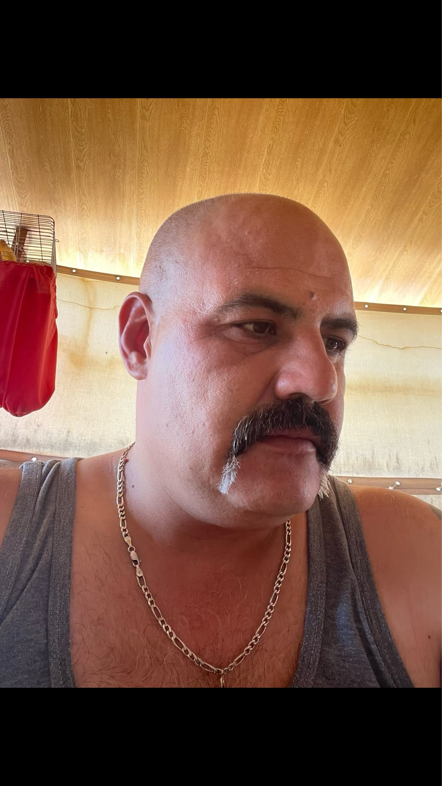 murat.haksever